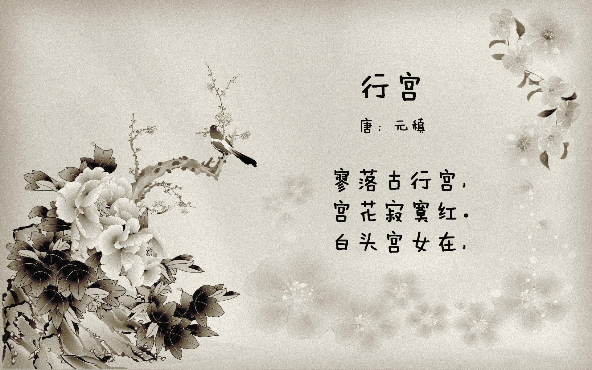 篮球训练装备品牌加大产品研发力度，值得购买的篮球训练器材