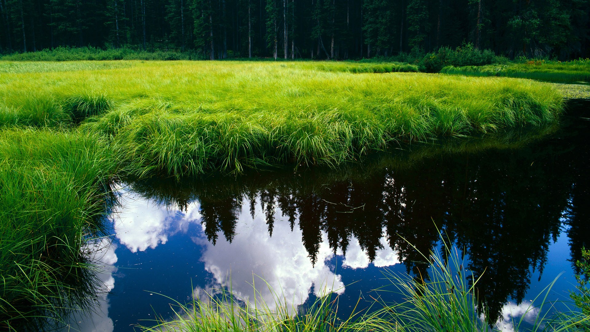 LCS季后赛对阵出炉,lcs 季后赛