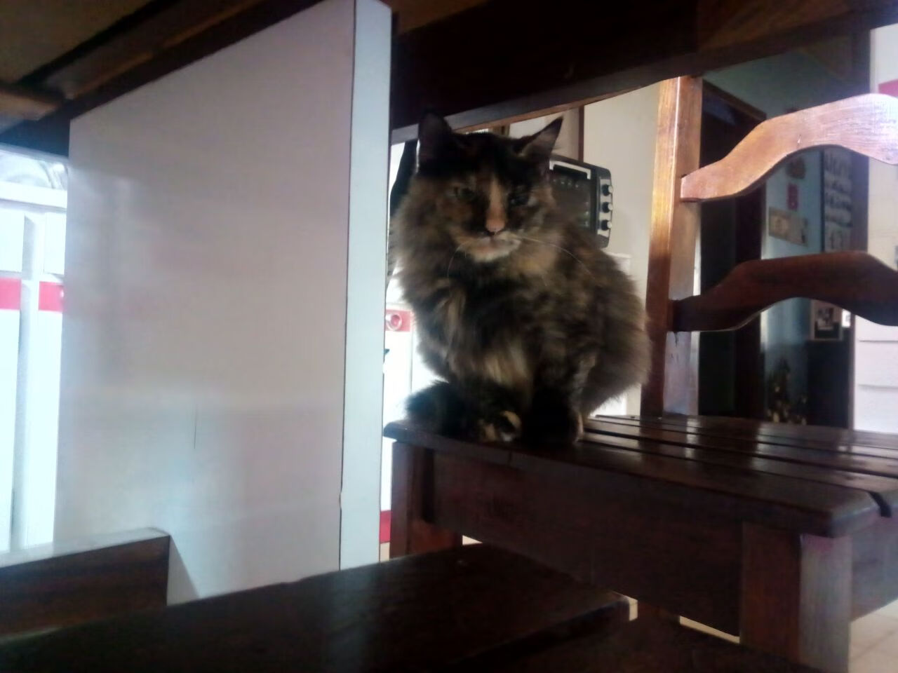 爱游戏官方入口-亚洲球队备战国际比赛，展现强大实力，亚洲预选赛球队