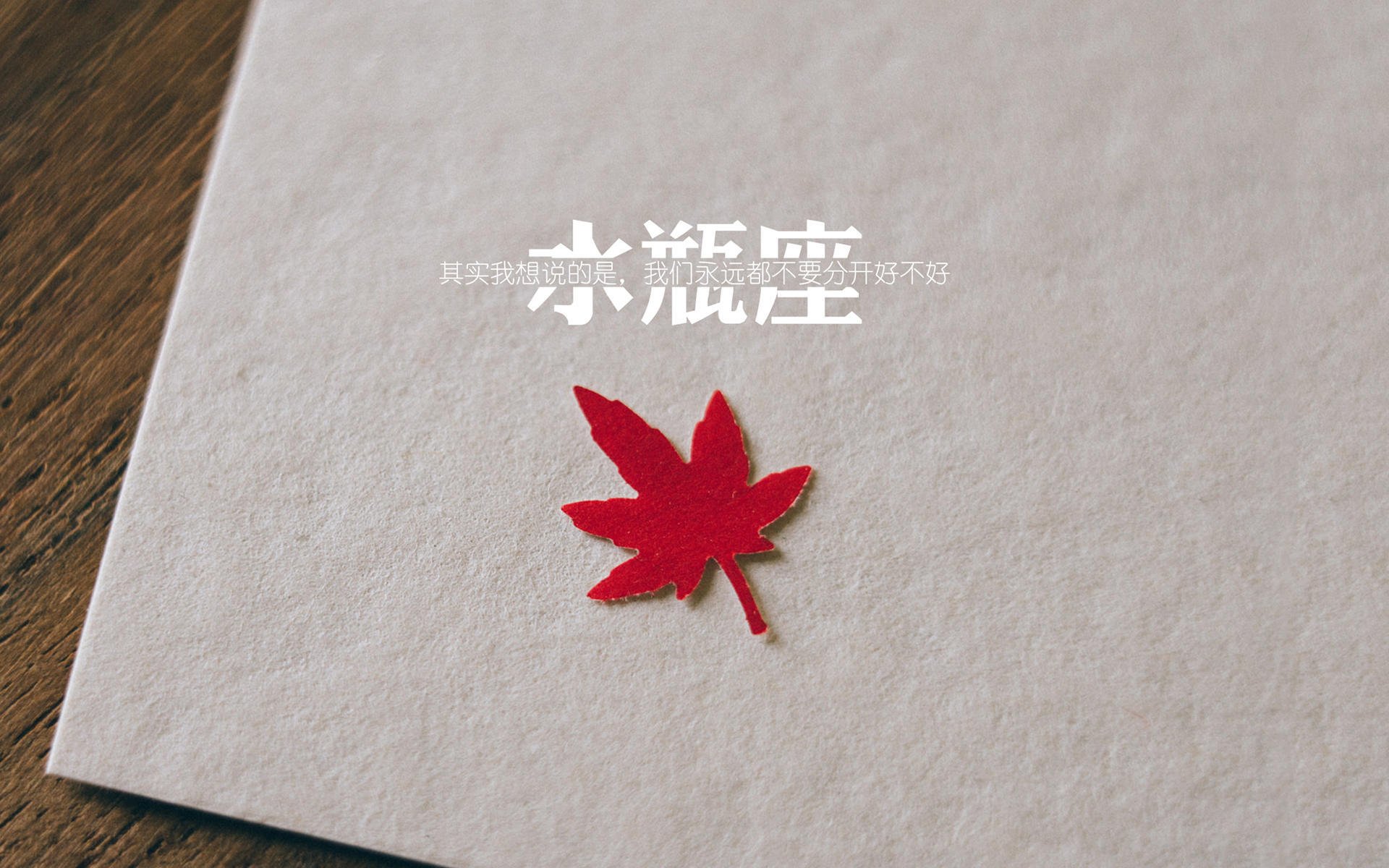 全场田径百米飞人大战成焦点,百米飞人比赛