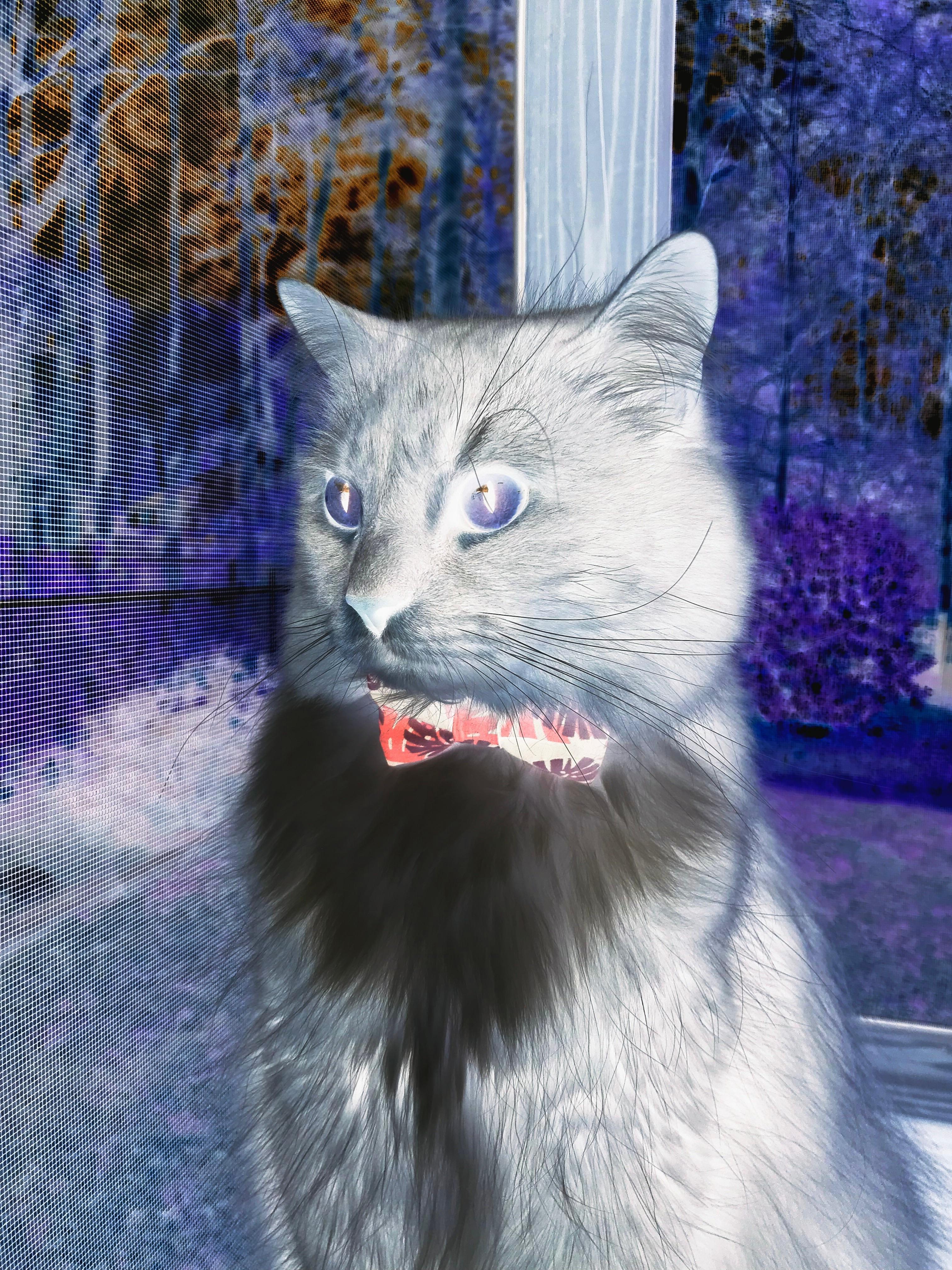 爱游戏体育-千叶喷射机体能储备充足，千叶喷射机体能储备充足能量吗