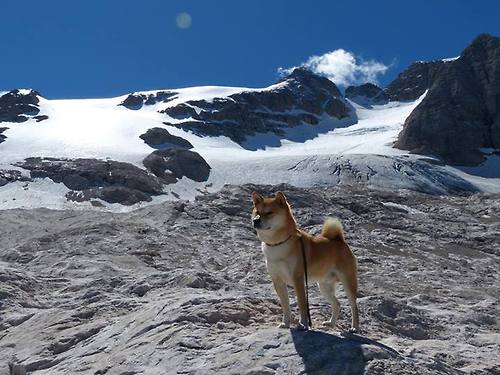 快船球队球队球队替补阵容贡献提升,快船队的球星