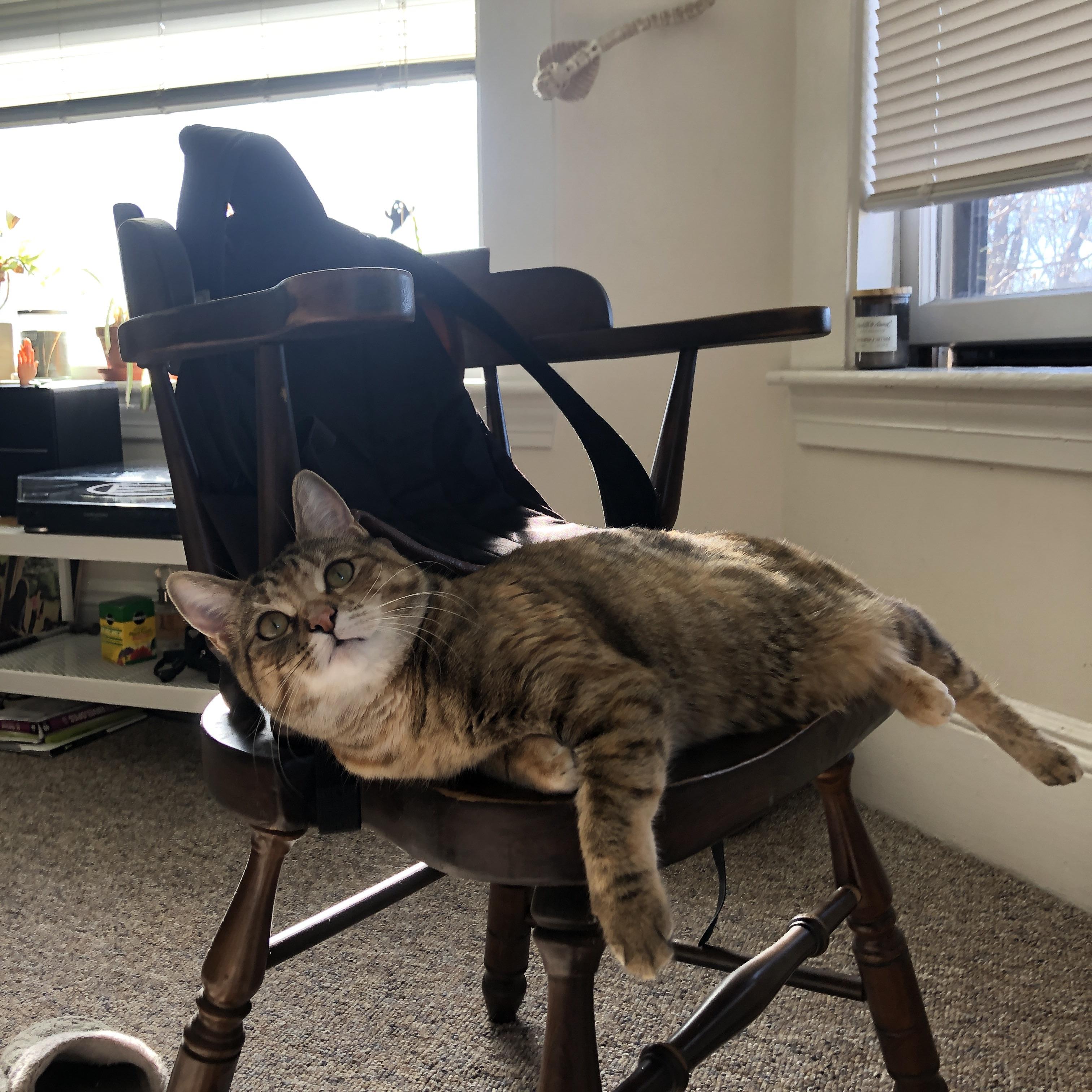 挪威队在大赛中斩获胜仗,闯入决赛阶段,挪威联赛历届冠军