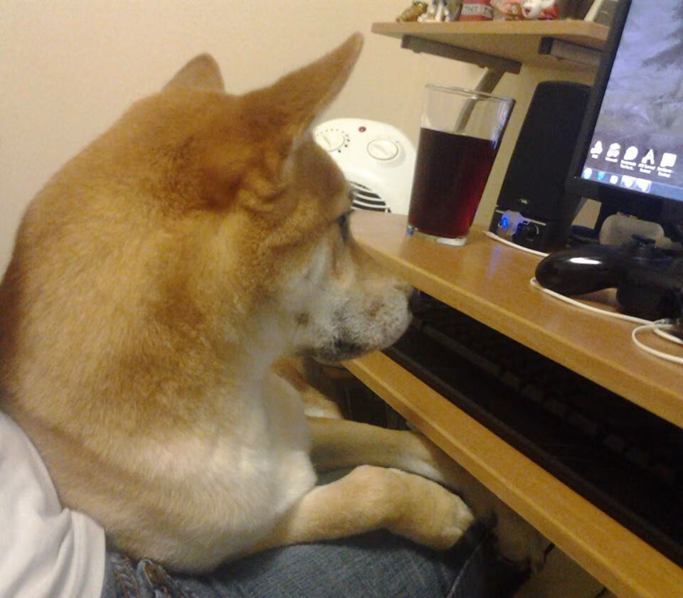 德甲球队构建动态语义+空间识别系统用于快速切换战术,空间位置识别