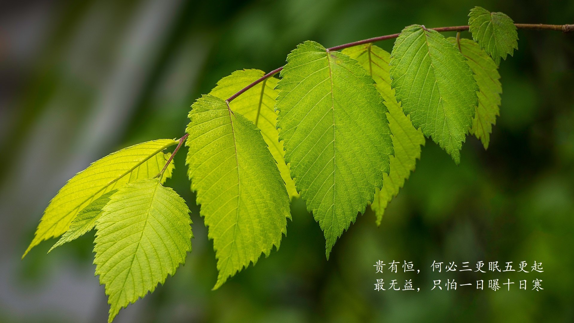 中国男篮传球精准度提高,中国男篮传球精准度提高方法